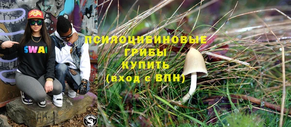тгк Гусь-Хрустальный