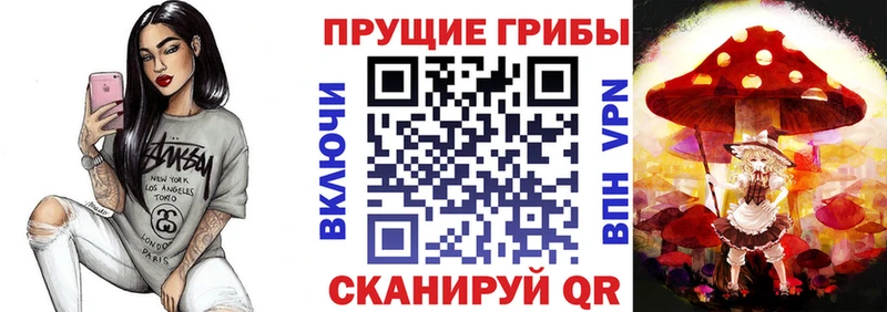 Псилоцибиновые грибы прущие грибы  Медногорск 