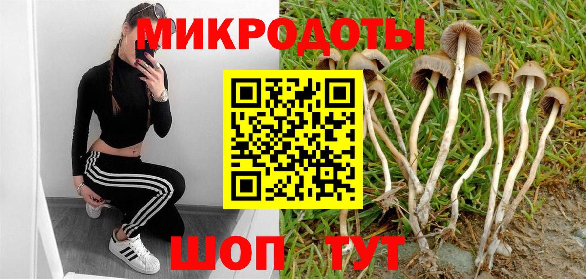 Псилоцибиновые грибы мицелий  Вход с VPN  Медногорск 