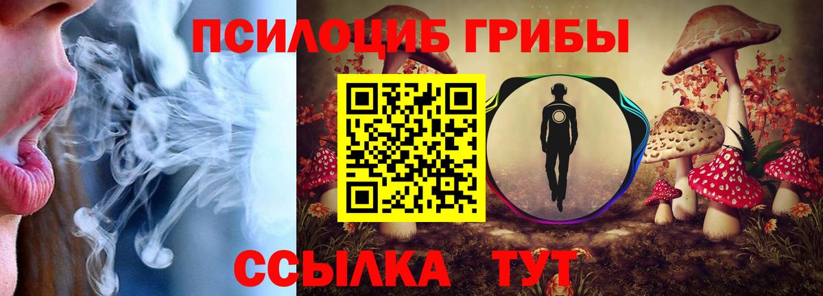 Псилоцибиновые грибы Magic Shrooms Медногорск